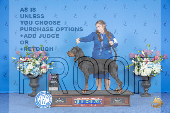 Black and Tan Coonhound #5 SUN OHG1 Judge Prudence Hlatky r__JP_0969_Houston_2024_HR3
