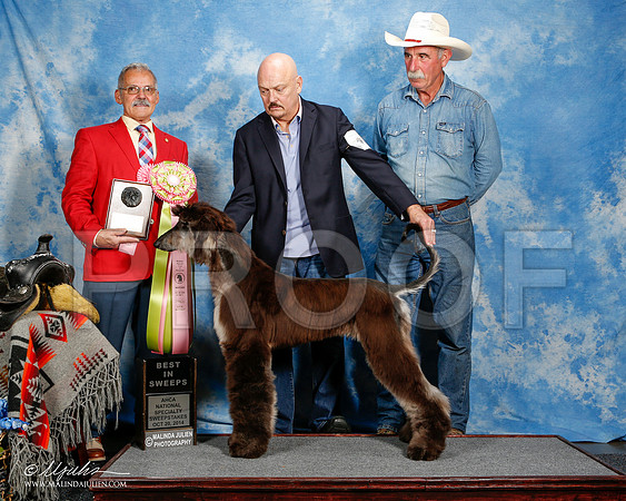 _ST_4490-2-AfgBeltonOct2014-HR3