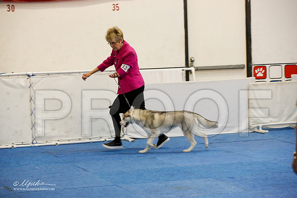 _M3_0608-AddisonHuskyMar2015-HR3