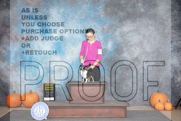 Chihuahua Long Coat #8 Sat G3 Judge Raymond Filburn__JP_8948_Humble_2024_HR3