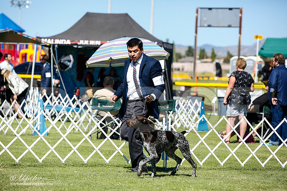 _JN_5281-AlamogordoOct2014-HR3