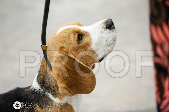 _RH_2113-AblnMay2014-web
