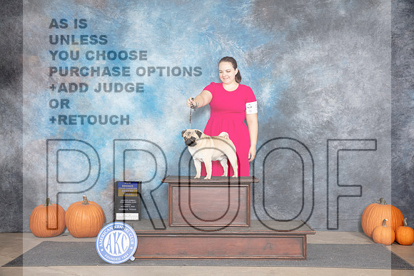 Pug #5 Sun BOB NGCH Judge Tim Catterson__JP_9131_Humble_2024_HR3