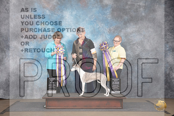 Whippet #248 Sat RBIS and BIS Judge Brenda and Jeniffer Landers__JP_2803_LongviewTX_2024_HR3