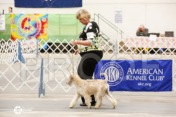 _CK_8554-AblnMay2014-web