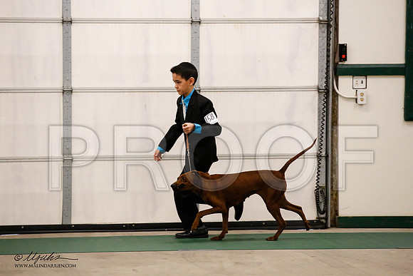 _JN_8689-NrmnNov2014-HR3