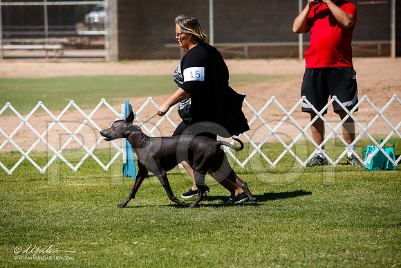 _JJ_7988-AlamogordoOct2014-HR3