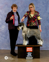 Schnauzer Miniature Group Second Paige McCarver