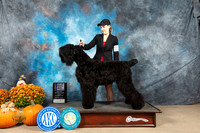 Black Russian Terrier #6 Sun BOBGCh Judge Donelle Richards