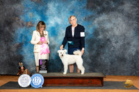 Pumi #6 Sat OHG1 Judge Sheryl Kendrick