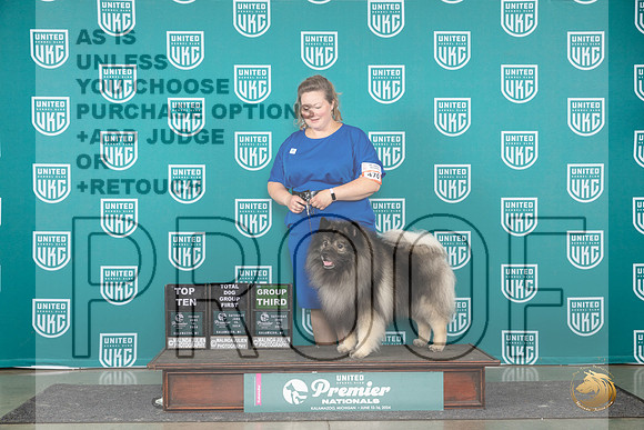 Keeshond #470 Top10F G3 Judge Deb Allen TDG1 Judge Tracie Karsjens__JP_2765_Premier_2024_HR3