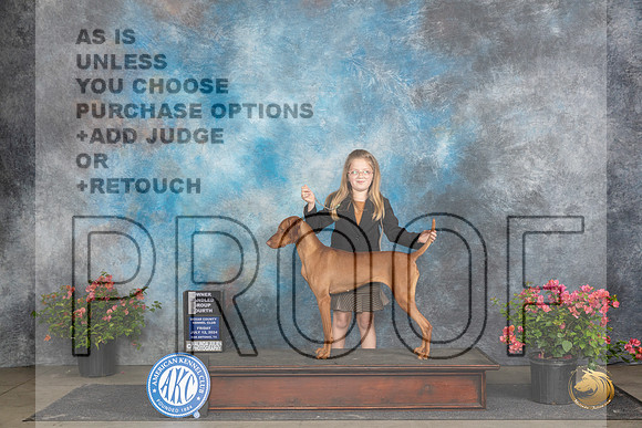Vizsla #12 Fri OHG4 Judge Paul Willhauck__JP_4501_San Antonio_2024_HR3