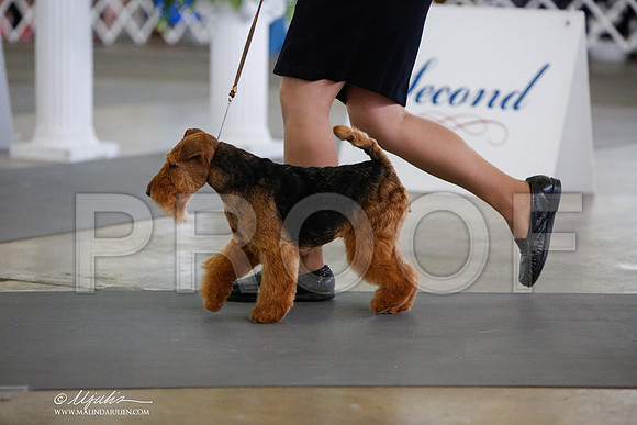 _JJ_2217-DallasJul2014-HR3