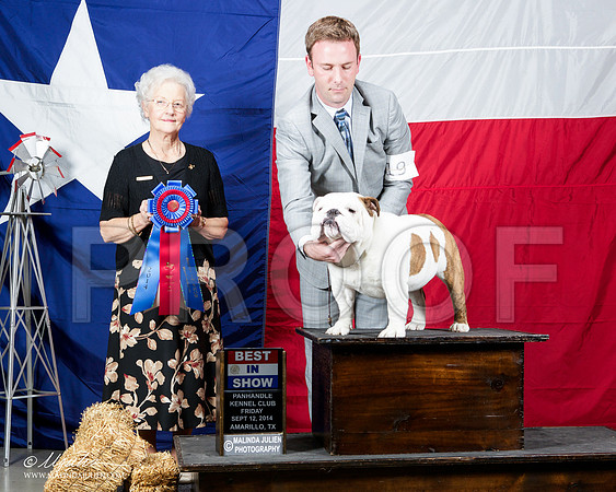 _ST_1654-AmarilloSep2014-HR3