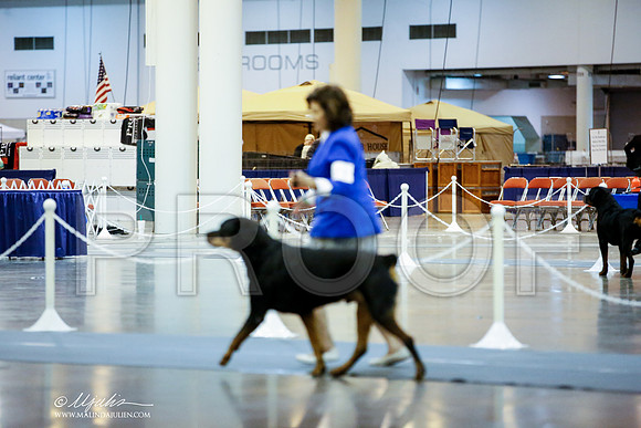 _JJ_9408-DalJul2014-HR3