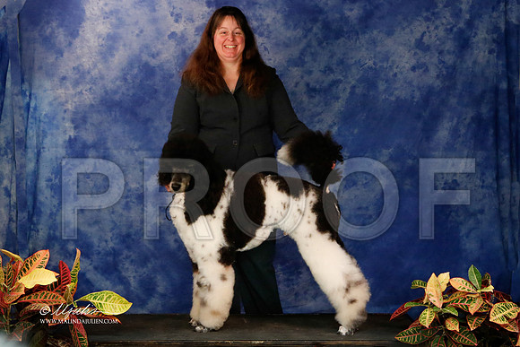 PdMC-9009-NormNov2013-HR