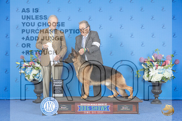 German Shepherd Dog #21 SAT G4 Judge James Moses__JP_0036_Houston_2024_HR3