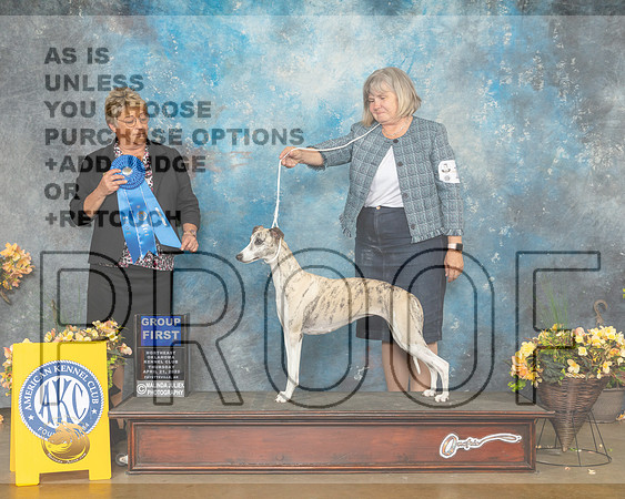 Whippet #14 Thur G1 Judge Cathy Daugherty-MMJ_8965-NWARK2022-HR3