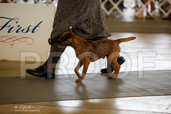 _JJ_2231-DallasJul2014-HR3