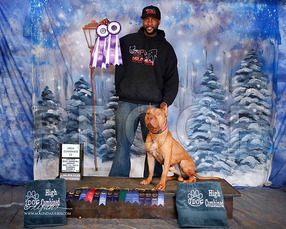APBT-6953-MrshlDec13-HR