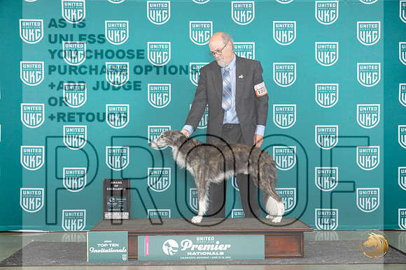 Silken Windhound #1031 Thur T10AOE Judge Deb Allen r2__JP_0990_Premier_2024_HR3