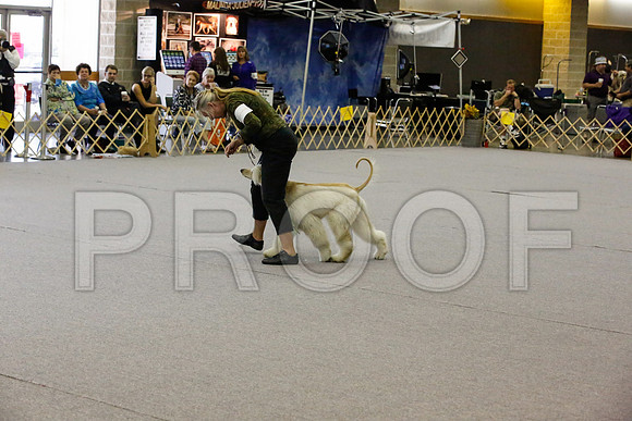 _JN_8138-AfgNtlBltnOct2014-HR3