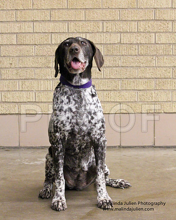 GSP-0158