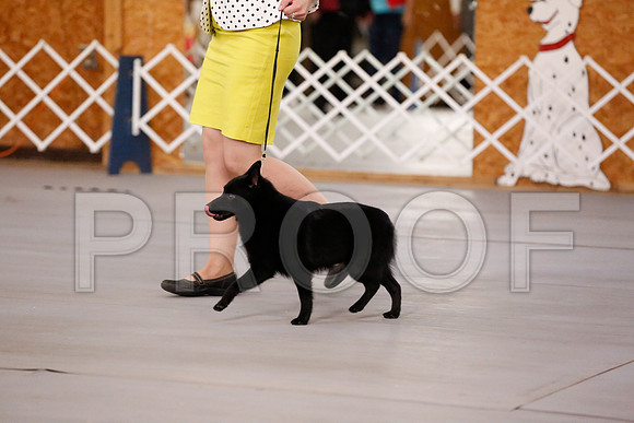 _RH_7532-CarlrolltonSept2014-HR3
