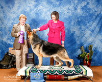 German Shepherd Dog #5 Fri WD