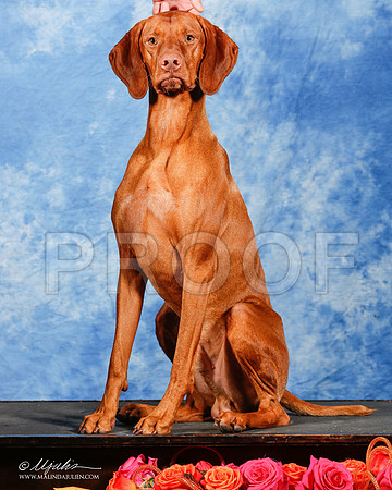 _ST_9515_2-HstnJul14-HR3