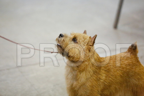 _JN_0228-AmarilloSept2014-HR3