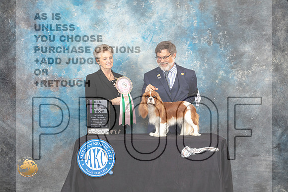 Cavlier King Charles Spaniel #16 Fri2 BISweeps Judge Diane Price_MJ_9850_HstnTOY_2022_HR3