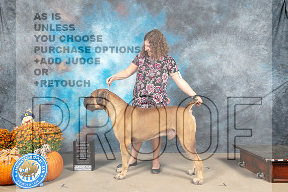 Boerbel #5 Sat OHg2 Judge Steve Keating_MJ_5922_Belton_2022_HR3