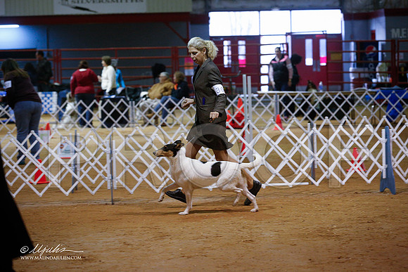 CollieS-3844-GRJan14-HR