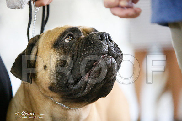 _JJ_8118-DallasJul2014-HR3