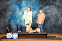 Pembroke Welsh Corgi #15 Fri BOBOHBOB Judge Denise Dean