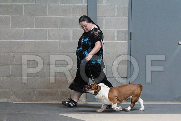 BassetCCL_3207LR