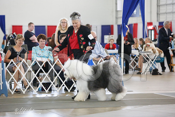 _JJ_3068-DallasJul2014-HR3