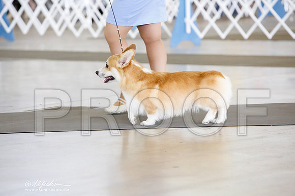 _CK_8791-DallasJul2014-HR3