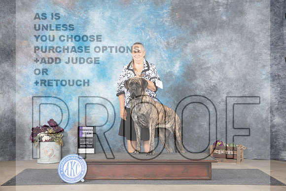Mastiff #6 Sun WB Judge Eric Liebes__JP_7659_Belton_2024_HR3