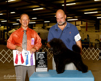Poodle Miniature #20 Fri BOW BOS Maj James Dorothy F Crump K O'Bryant Agent Michael Shepherd Judge James Frederiksen +A2