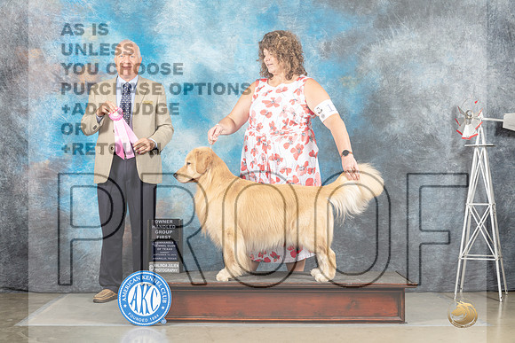 Golden Retriever #11 Sun OHG1 Judge Eric Liebes-_MJ_5251e-HR3