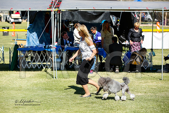 _JN_1446-AlamogordoOct2014-HR3