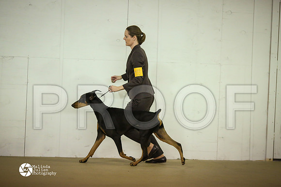 Dobe-7839-HtoJan14-HR