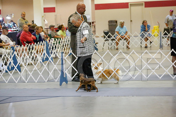_JJ_0631-AmarilloSept2014-HR3