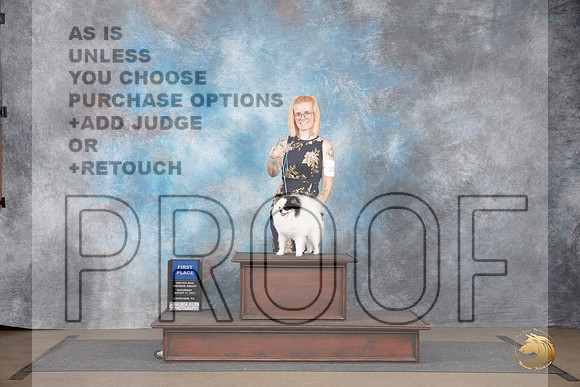 Pomeranian #273 Sat G1 Judge Matthew Proctor__JP_2691_LongviewTX_2024_HR3