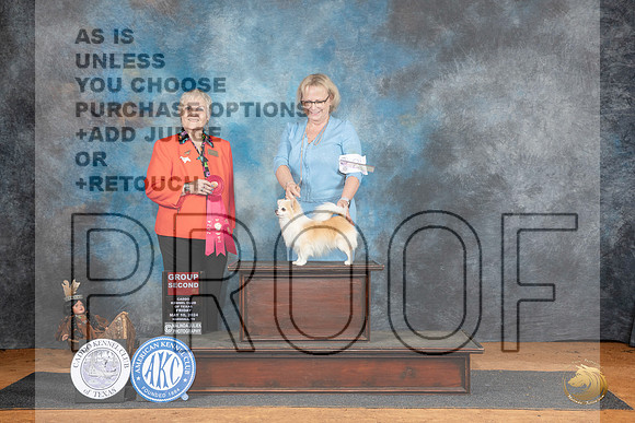 Chihuahua Long Coat #21 Fri G2 Judge Suzanne Dillin__JP_7313_MARSHALL_2024_HR3