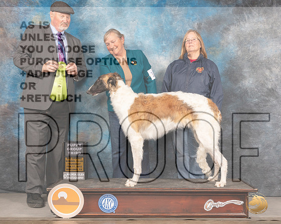Borzoi #16 Thur PG3 Judge Michael BrantleyMMJ_2445_Mdlnd2022_HR3