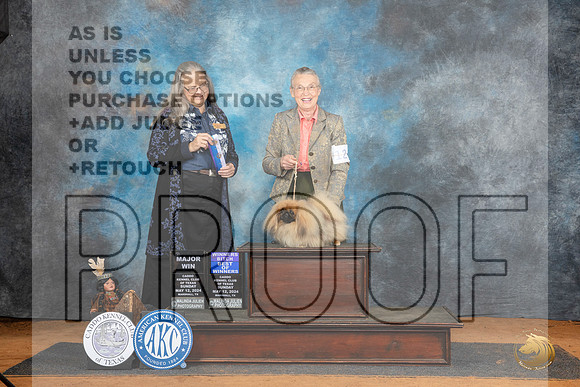 Pekingese #12 Su BOWM Judge Denise Dean__JP_8572_MARSHALL_2024_HR3