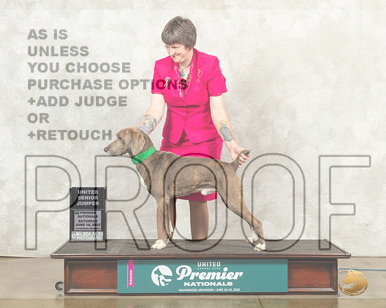 Mountain Cur #DJ112 Sun NewDockSr__MJ_9287_Premier_2022_HR3